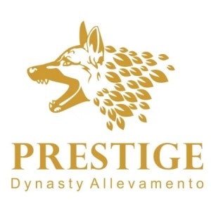Logotipo del perro - Prestigio